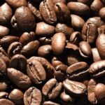 Arabica Beans (Coffea arabica)