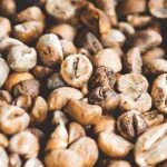 Robusta Beans (Coffea canephora)