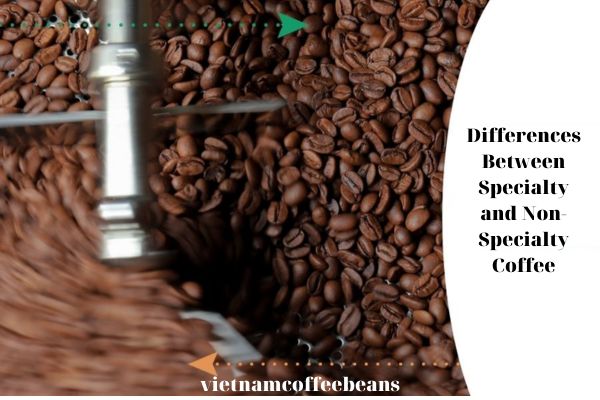 Differences Between Specialty and Non-Specialty Coffee