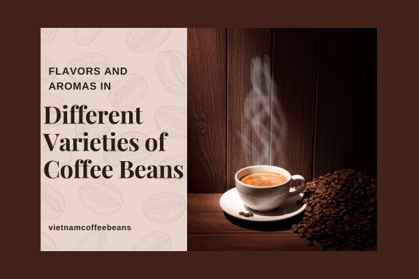 Flavors and Aromas in Different Varieties of Coffee Beans