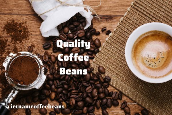 Quality of the Coffee Beans