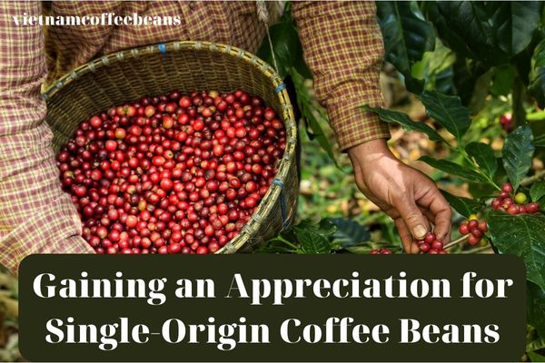 Single-Origin Coffee Beans