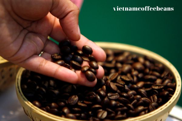 How to Choose the Best Arabica Coffee Beans for Espresso