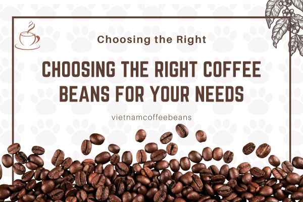 the Right Coffee Beans for Your Needs