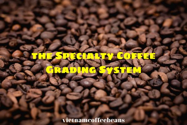 The Specialty Coffee Grading System