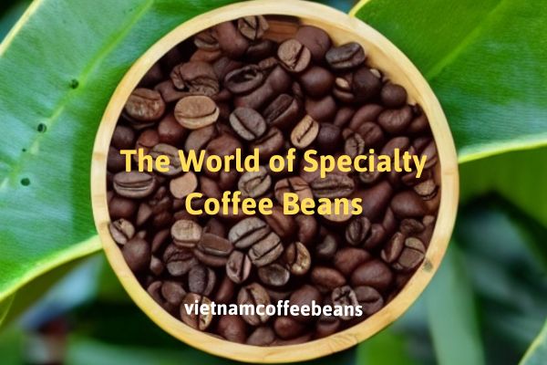 The World of Specialty Coffee Beans