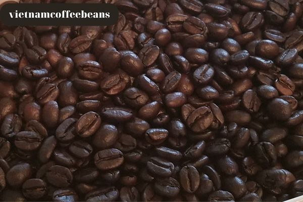 Unlocking The Secrets Behind Dark Roasted Coffee Beans