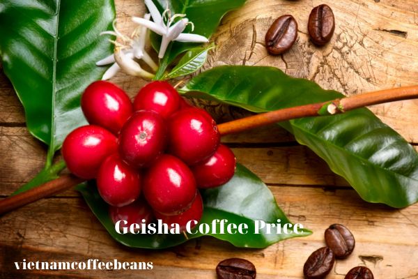 Geisha Coffee Price