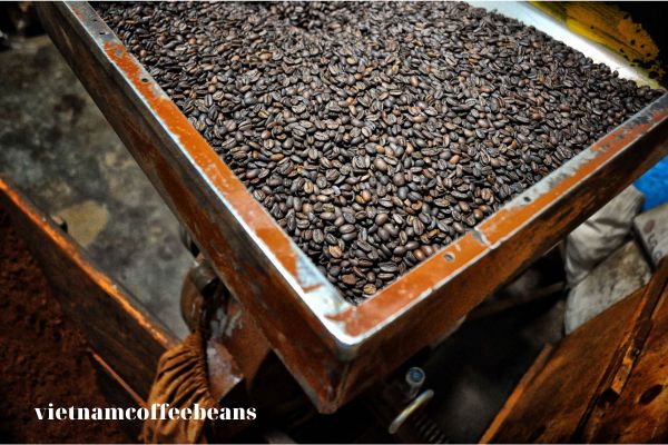 What Is Harar Coffee