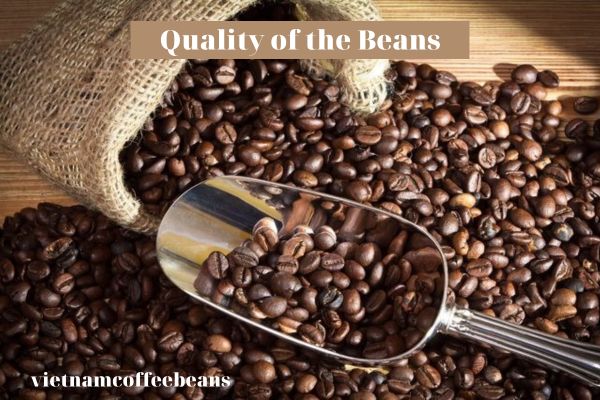 Quality of the Beans