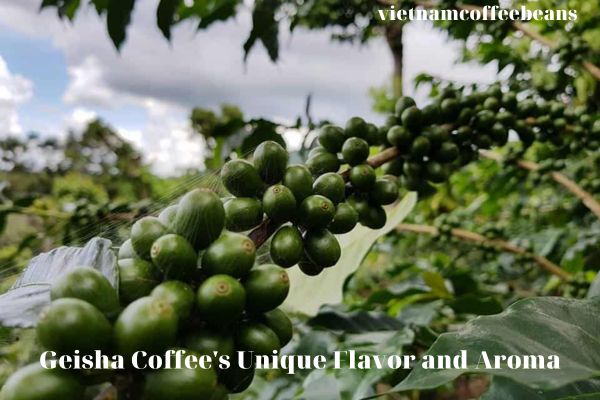 The High Cost of Farming Geisha Coffee