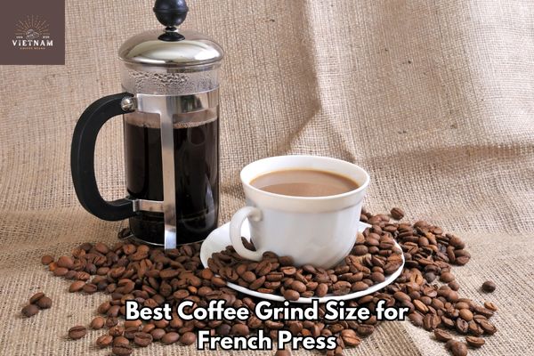 Best Coffee Grind Size for French Press