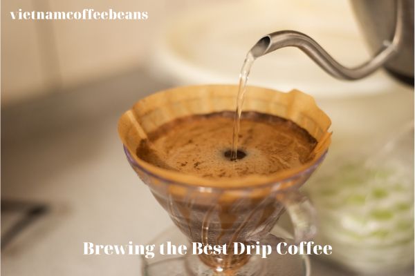 Brewing the Best Drip Coffee