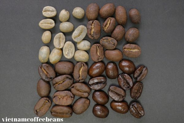 Varieties of Light Roast Coffee