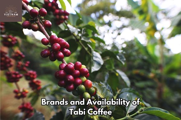 Brands and Availability of Tabi Coffee