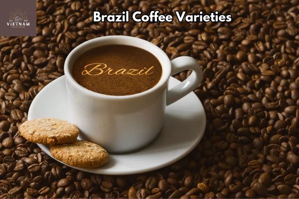 Discover Brazil Coffee Varieties