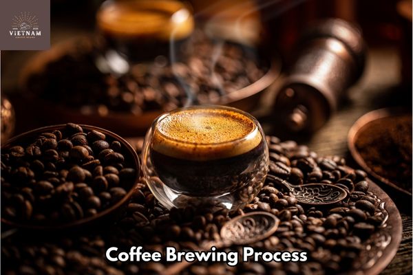 Coffee Brewing Process