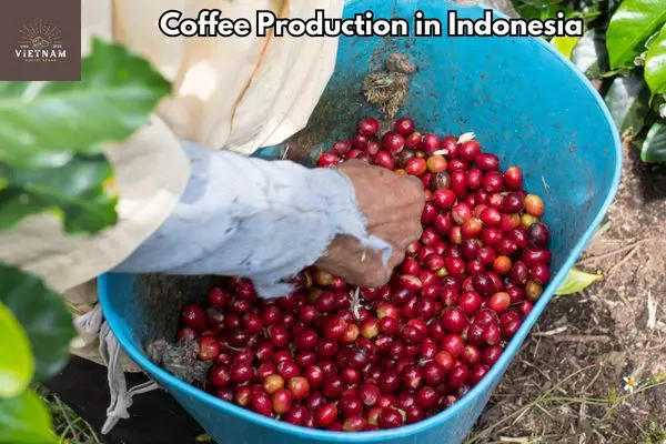 Coffee Production in Indonesia