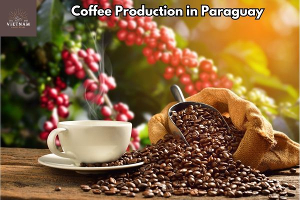 Coffee Production in Paraguay