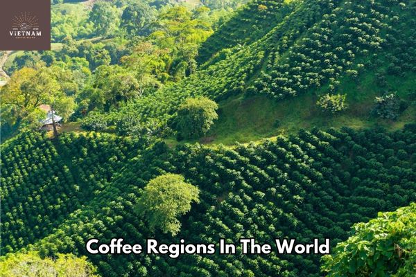 Coffee Regions In The World
