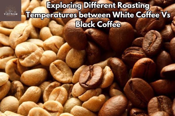 Exploring Different Roasting Temperatures between White Coffee Vs Black Coffee