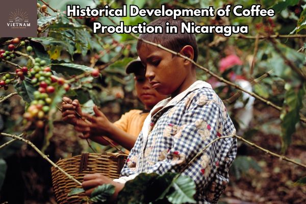 Historical Development of Coffee Production in Nicaragua