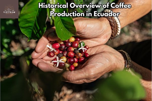 Historical Overview of Coffee Production in Ecuador