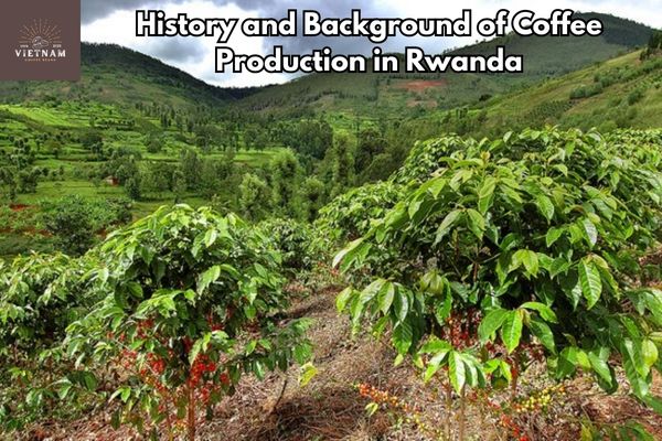 History and Background of Coffee Production in Rwanda