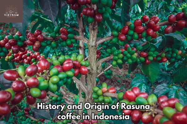 History and Origin of Rasuna coffee in Indonesia