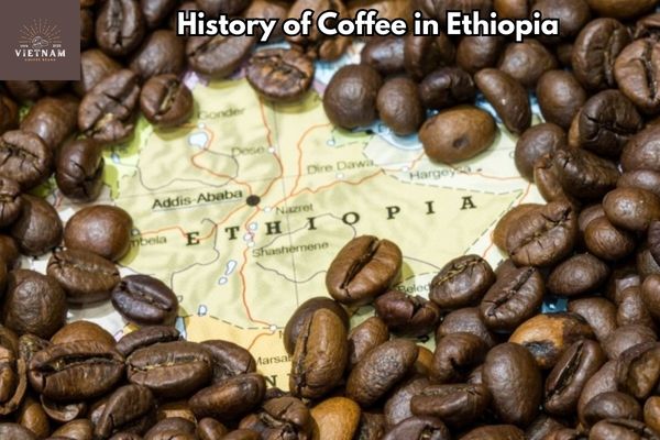 History of Coffee in Ethiopia