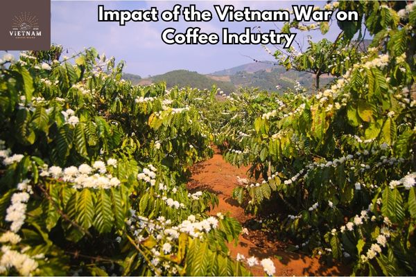 Impact of the Vietnam War on Coffee Industry