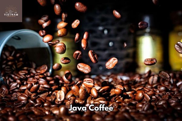 What Is Java Coffee?