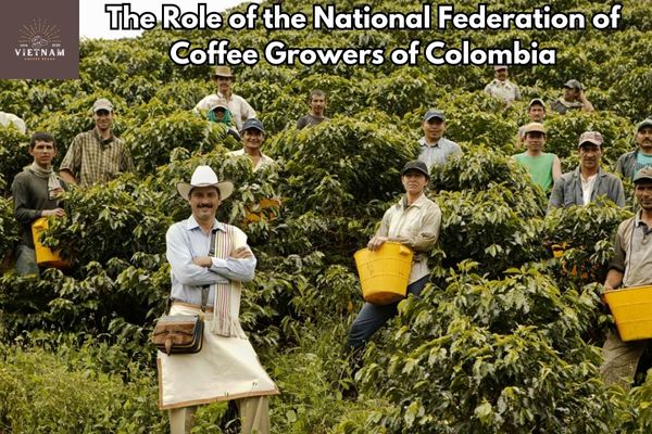 The Role of the National Federation of Coffee Growers of Colombia