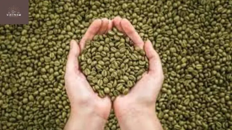 What Colour Are Coffee Beans Before Roasting