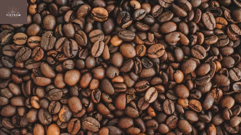 Key Factors to Evaluate in a Roasting Company