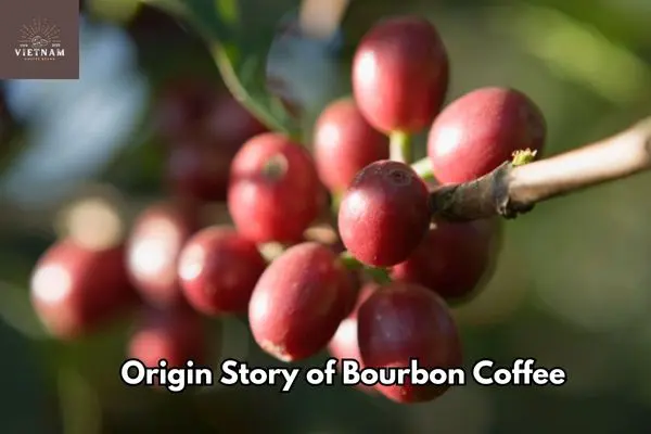 Origin Story of Bourbon Coffee