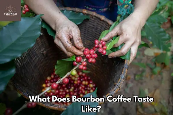 What Does Bourbon Coffee Taste Like?