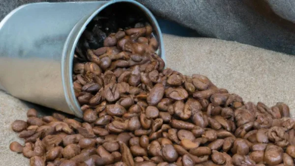 Excelsa Coffee Beans